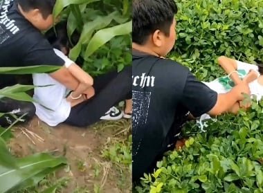 การข่มขืนเพื่อนร่วมชั้นในป่ามืด